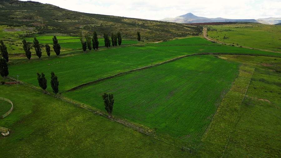 4 Bedroom Property for Sale in Lady Grey Eastern Cape